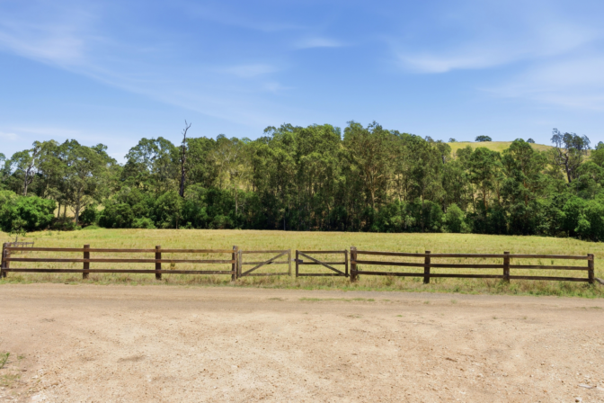 Behind the Gates: How We Raise Angus Cattle at Strathbrook