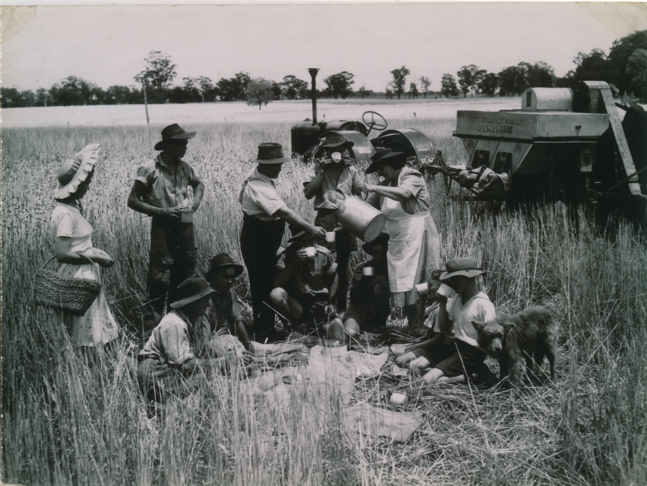 Vintage photograph of the Talbot family harvesting crops on the farm, early Strathbrook Farm history